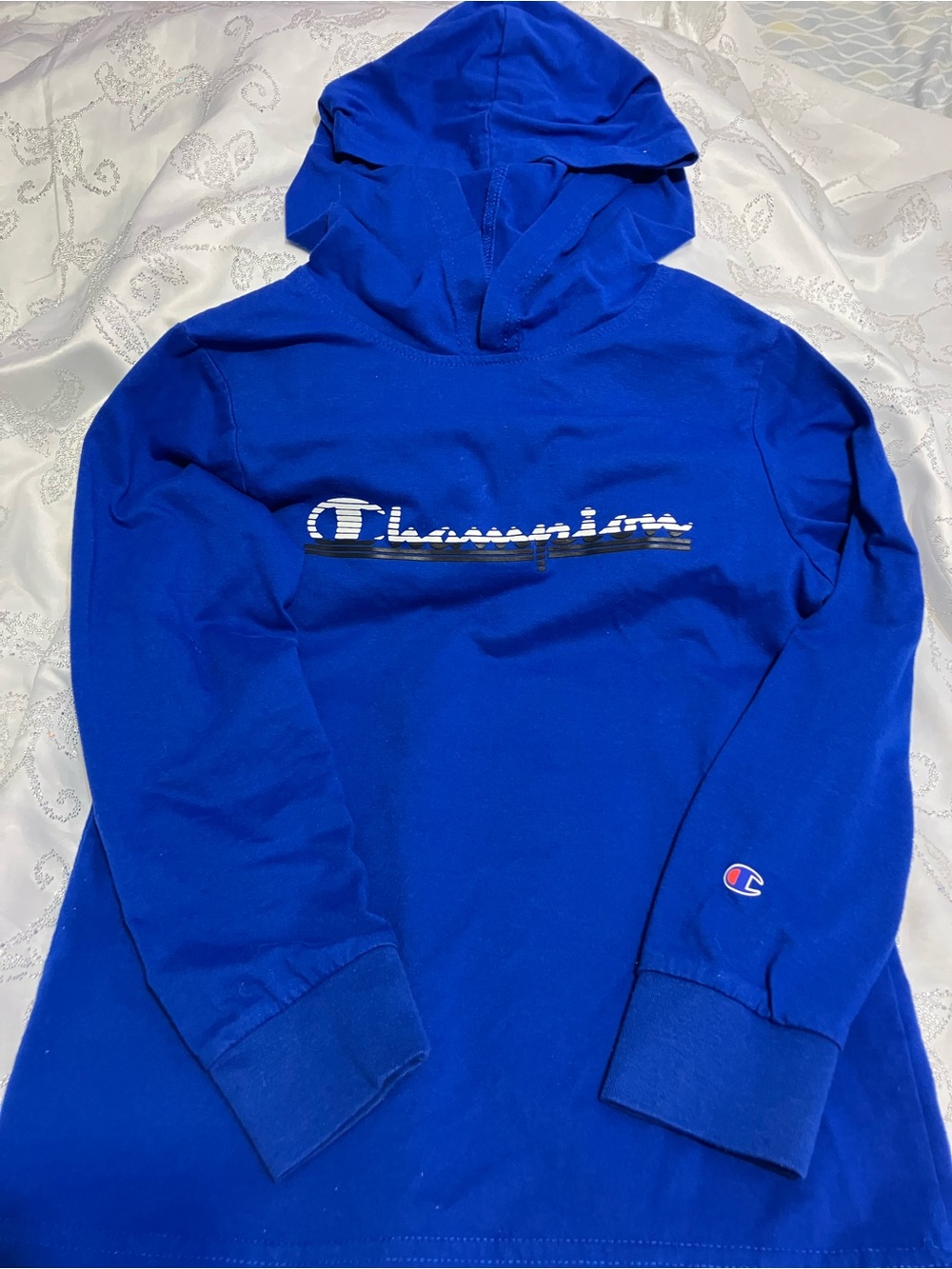 Champion Blue Youth Hooded Sweatshirt with Logo